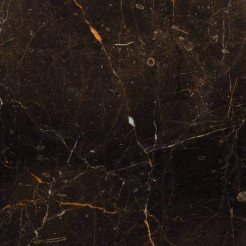 Tropical Brown Marble