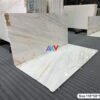 Michelangelo Marble in Gurugram